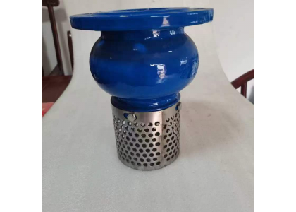 Foot Valve for Water Pump | Trusted China Valve Manufacturer - Yuan JD